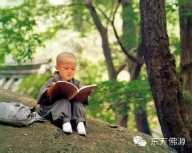 [空明道书院]体会中庸  审问抉择,正心明道(37)