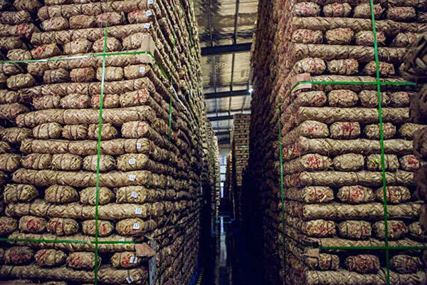 黑茶收藏应把握五点