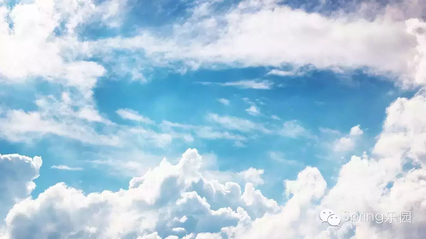 为什么喜欢汪涵?