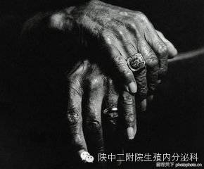 二胎来了,你准备好了吗?-怀孕期