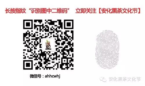 安化黑茶 | 抱团深圳茶博会黑茶亮点多