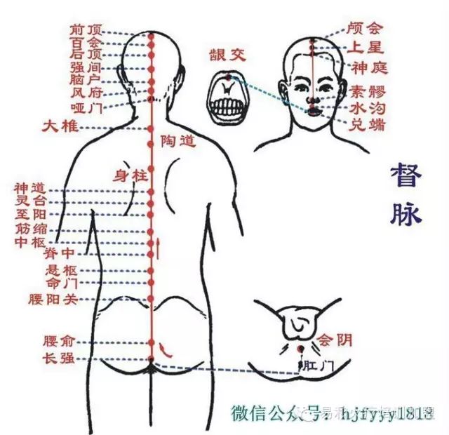 督脉不通:虚寒怕冷手足不温疲劳乏力;颈椎痛腰椎痛痔疮便秘;阴阳