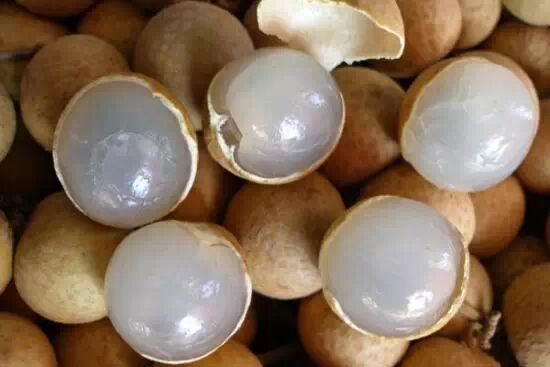 长期失眠的最好偏方，不可错过！ - shengge - 我的博客