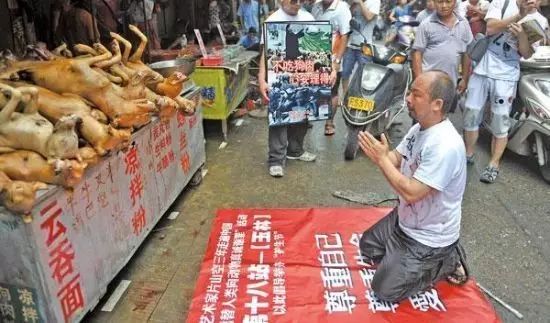 「吃中國人救狗」的圖片搜尋結果