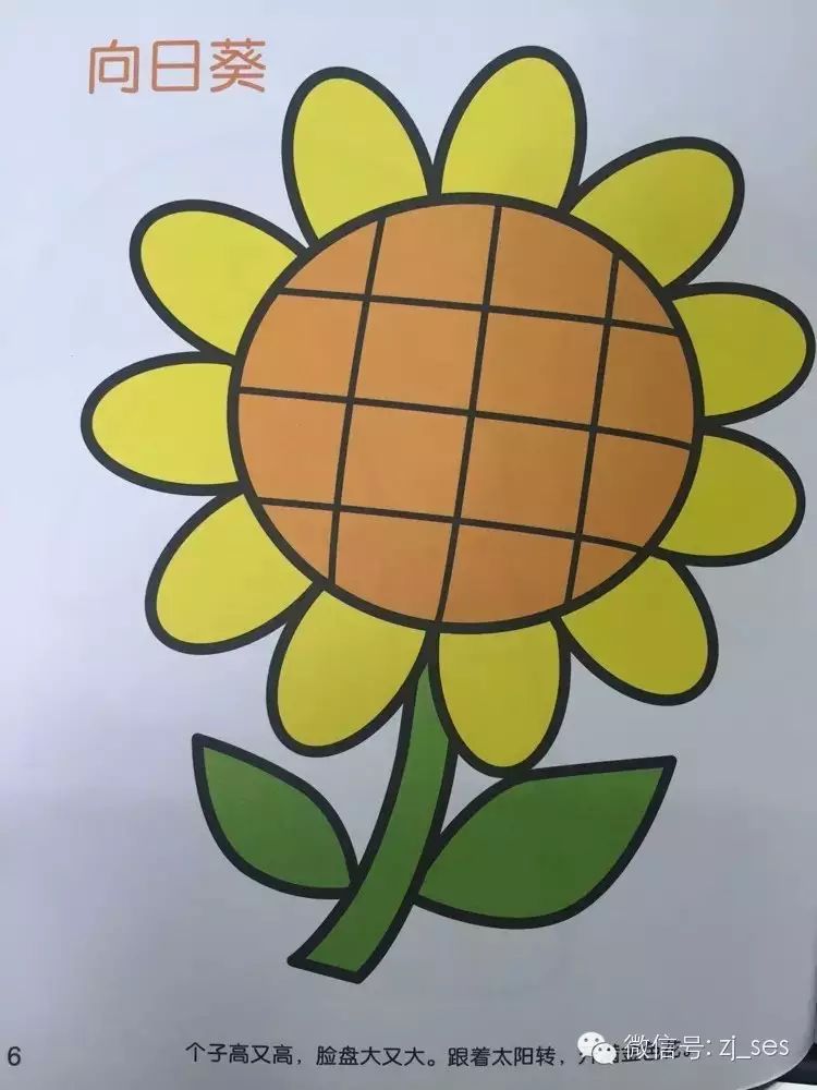 一双小小手,快乐涂颜色,你家宝宝爱画画吗?让我们一起