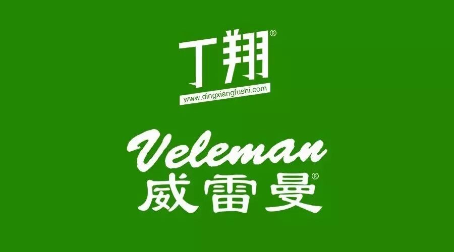 Vegas Open Dance 2016 表演秀【丁翔国标舞服饰编导D-...
