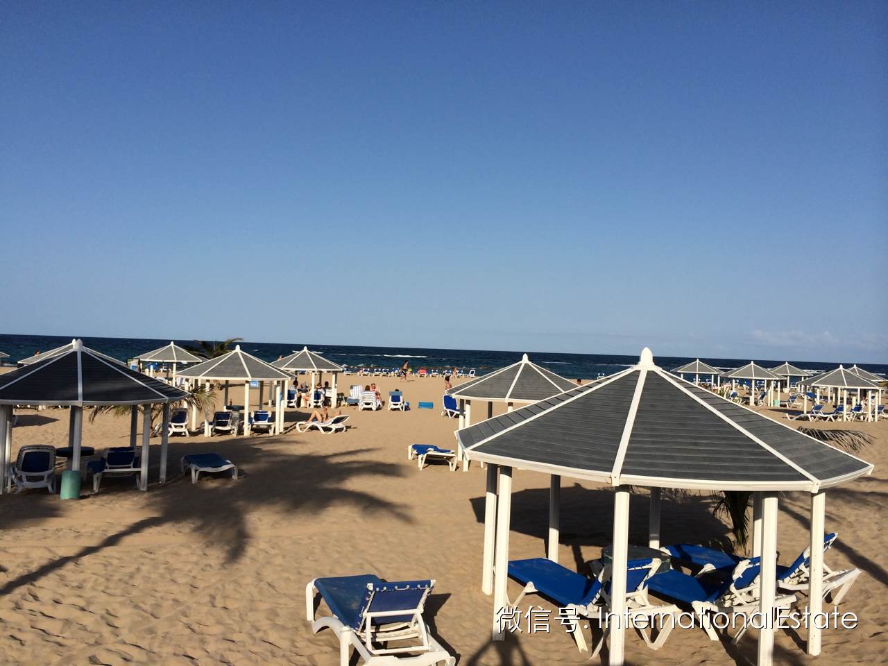 ҵ˽һ̻ͥT-LOFTʵز