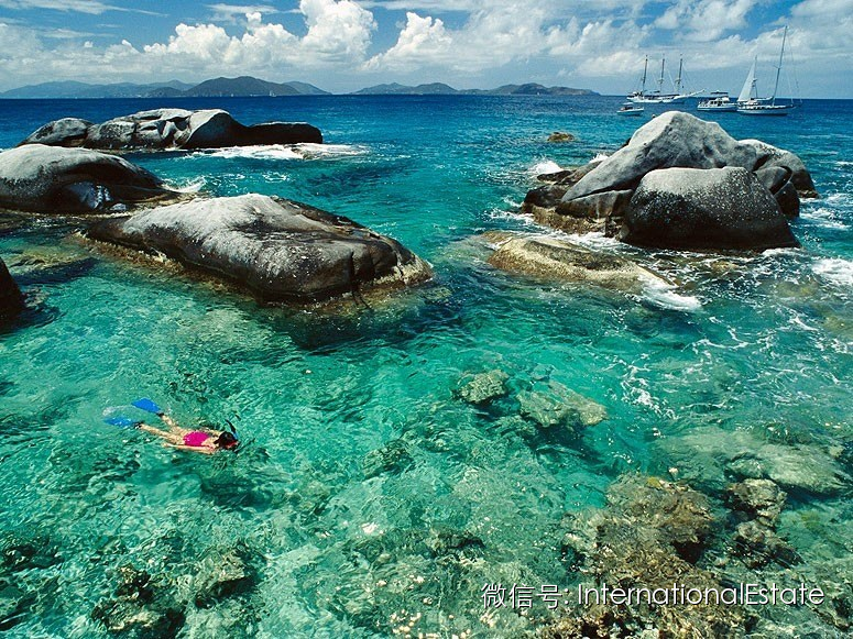 ҵ˽һ̻ͥT-LOFTʵز