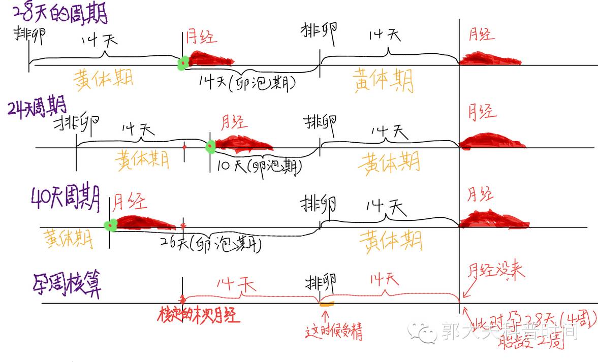 如何计算怀孕时间多长了(如何计算孕周)?