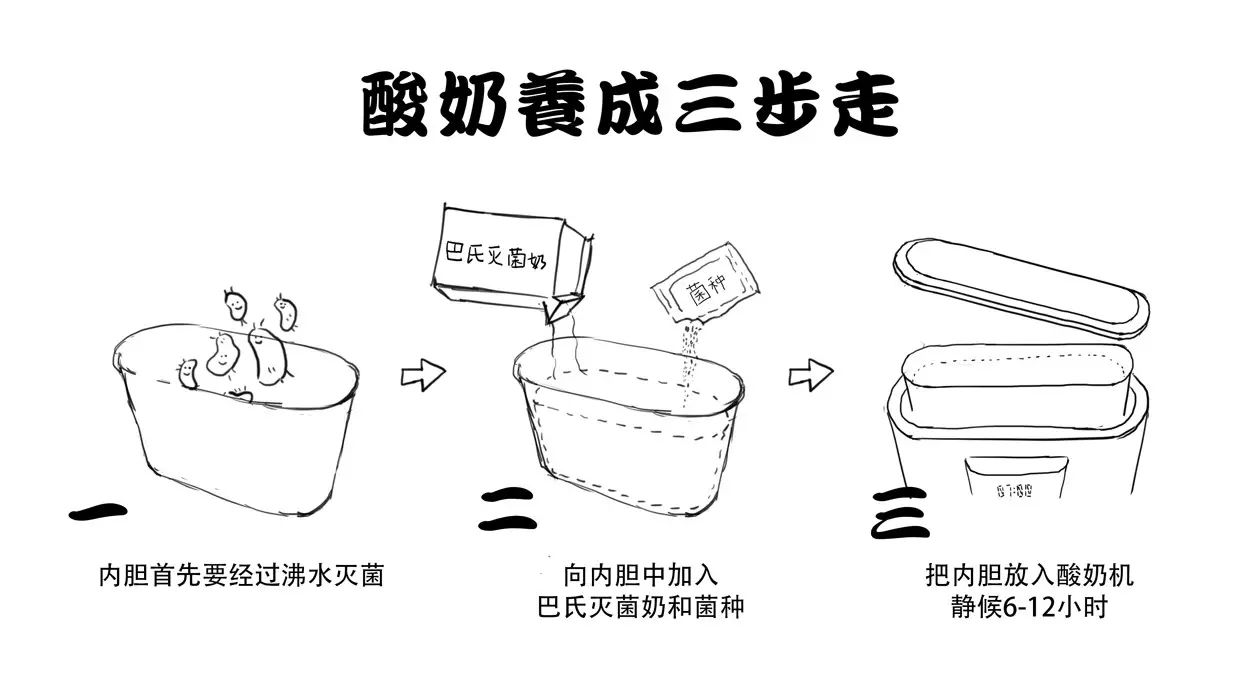 首先,制作前一定要用沸水对酸奶机容器进行冲洗灭菌.