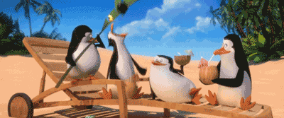 《马达加斯加企鹅》提前观影,蠢萌爆笑!