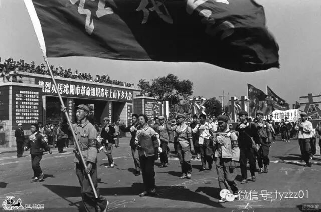 顾土：文革，一个大错位的年代 - Nova34 - Nova的博客