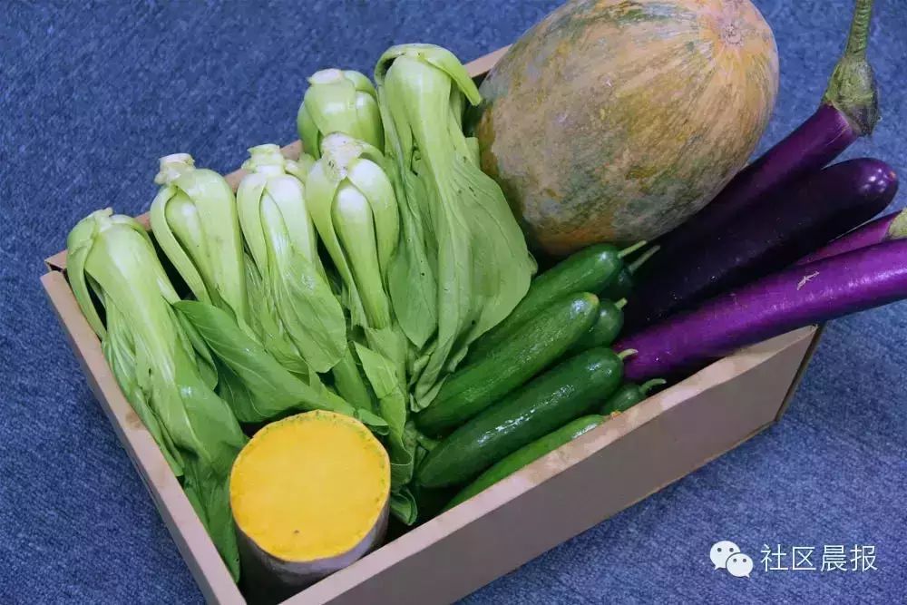 福利丨108元悠田有机蔬菜礼盒免 费 抢！！！