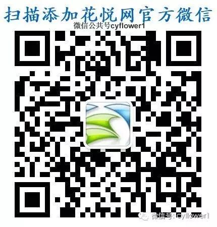 人生不凡，每一天都是旅行。