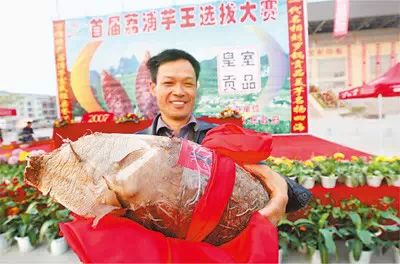 桂林5区12县战斗力排行,你觉得哪家最强833 / 作者:520小编 / 帖子ID:115931 桂林5区12县战斗力排行,你觉得哪家最强833 / 作者:520小编 / 帖子ID:115931