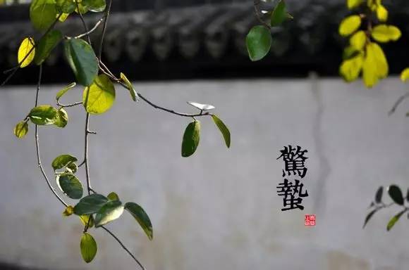 二十四节气图 - 快乐者 快乐着 - shangshanruoshui的博客 24节气图,美到窒息 - 快乐者 快乐着 - shangshanruoshui的博客