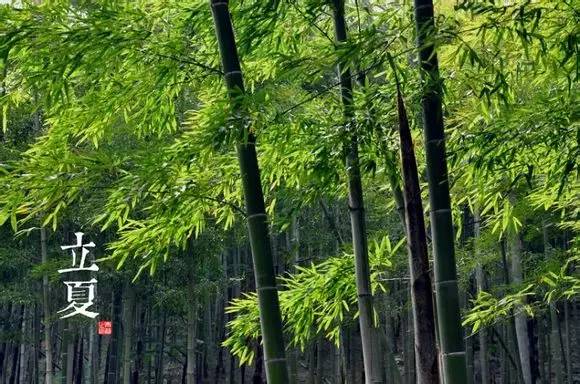 二十四节气图 - 快乐者 快乐着 - shangshanruoshui的博客 24节气图,美到窒息 - 快乐者 快乐着 - shangshanruoshui的博客