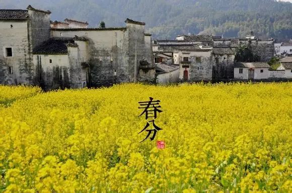 二十四节气图 - 快乐者 快乐着 - shangshanruoshui的博客 24节气图,美到窒息 - 快乐者 快乐着 - shangshanruoshui的博客