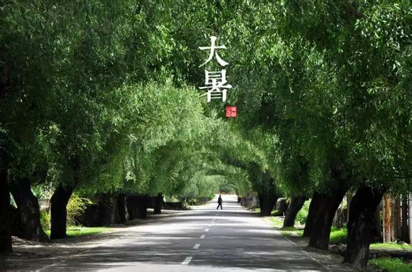 二十四节气图 - 快乐者 快乐着 - shangshanruoshui的博客 24节气图,美到窒息 - 快乐者 快乐着 - shangshanruoshui的博客