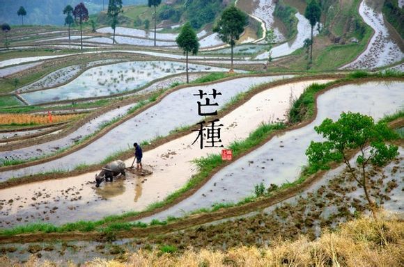 二十四节气图 - 快乐者 快乐着 - shangshanruoshui的博客 24节气图,美到窒息 - 快乐者 快乐着 - shangshanruoshui的博客