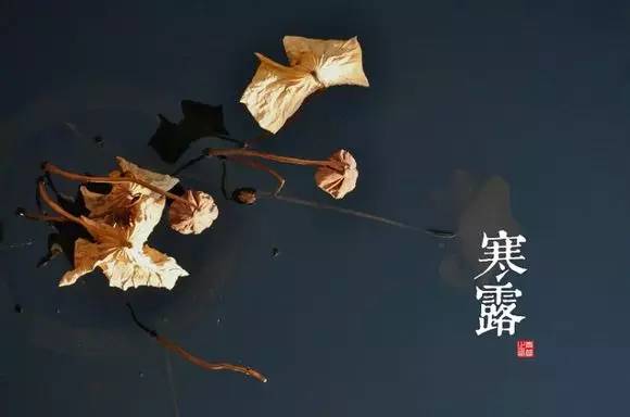 二十四节气图 - 快乐者 快乐着 - shangshanruoshui的博客 24节气图,美到窒息 - 快乐者 快乐着 - shangshanruoshui的博客