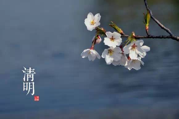 二十四节气图 - 快乐者 快乐着 - shangshanruoshui的博客 24节气图,美到窒息 - 快乐者 快乐着 - shangshanruoshui的博客