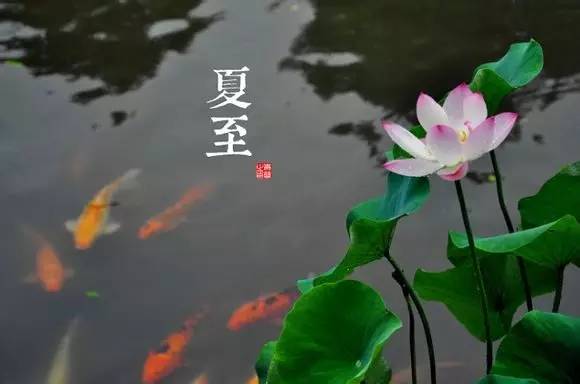 二十四节气图 - 快乐者 快乐着 - shangshanruoshui的博客 24节气图,美到窒息 - 快乐者 快乐着 - shangshanruoshui的博客