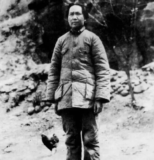 Image result for ëӰ