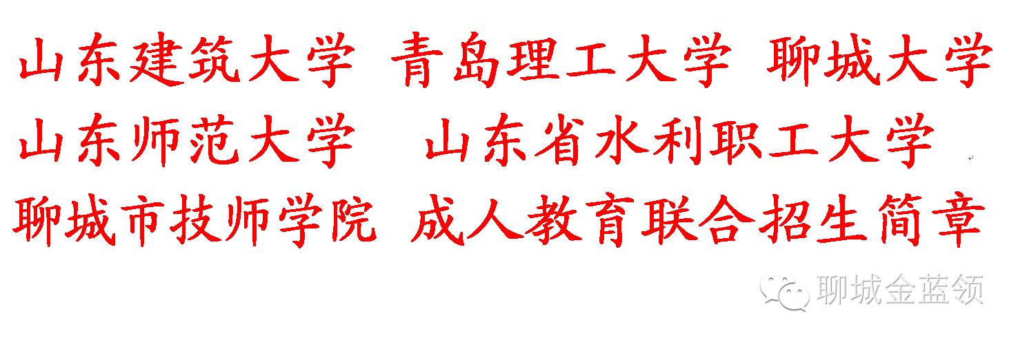 理工大学,聊城大学,山东师范大学,山东省水利职工大学,聊城市技师学院