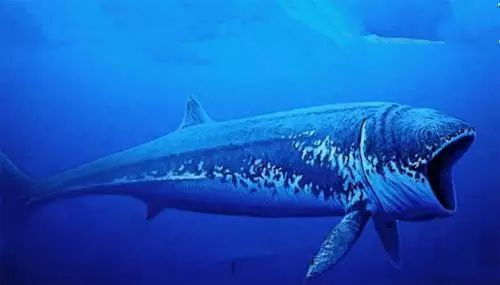 5.最大的硬骨鱼 利兹鱼,1.7亿年前.21米(70英尺)长,重50吨. 4.最