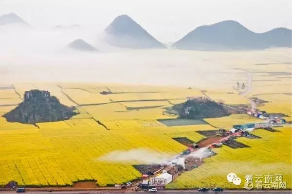 罗平旅游网_罗平旅游指南_罗平旅游