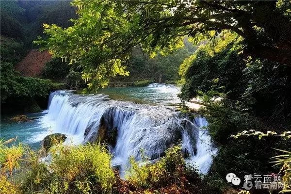 罗平旅游_罗平旅游指南_罗平旅游网