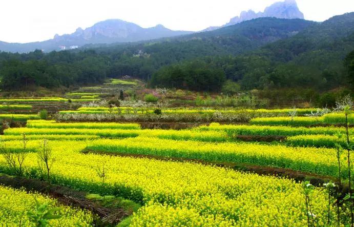 全國8大寫(xiě)生地，第一名居然是它