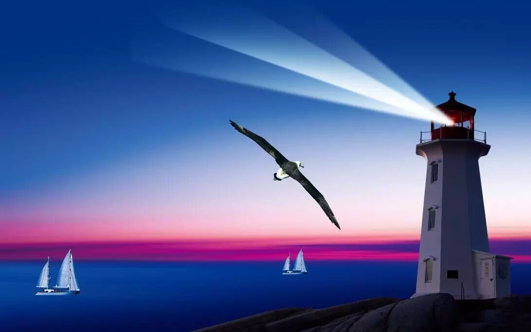 深度好文｜国星的第一桶金居然是因为它？