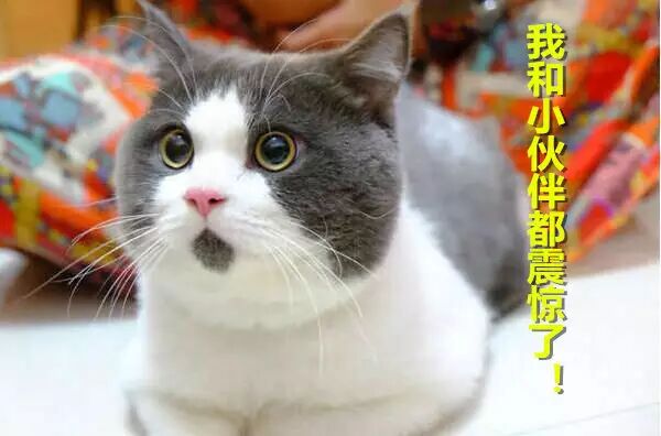 搞爆款上瘾？ | 国星面板灯家族又添新成员！