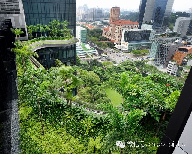 創(chuàng)新與綠色的完美結(jié)合：新加坡皮克林賓樂雅酒店