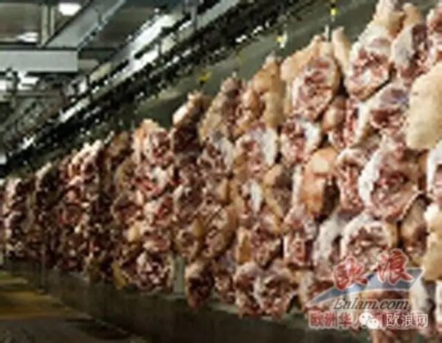 50家西班牙肉联厂向中国抛出橄榄枝