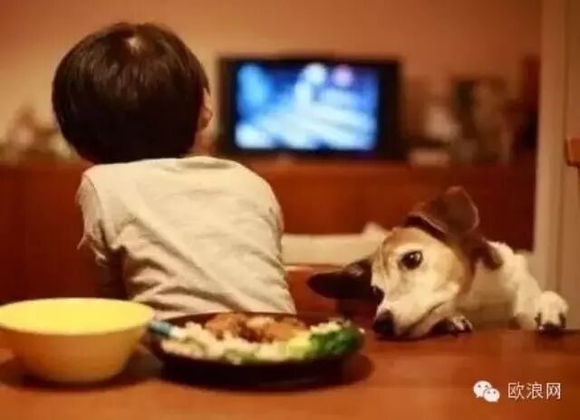 孩子经不经常看电视的差别居然这么大！