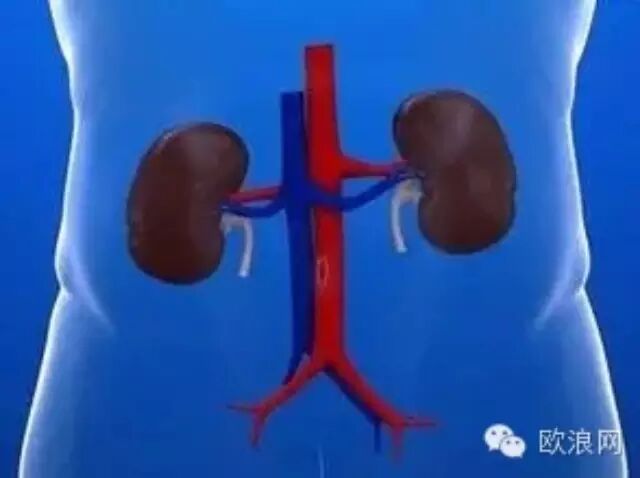 【健康】没有耸人听闻！这10种习惯很可能废了你的肾！