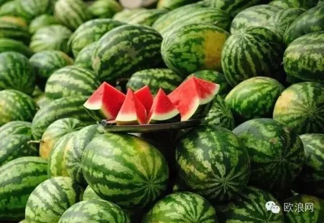 西瓜为什么不能用勺子挖着吃？还不知道就危险啦！