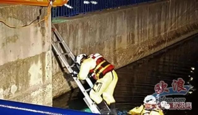 马德里华人钓鱼时心脏病发作 中风掉入河中死亡