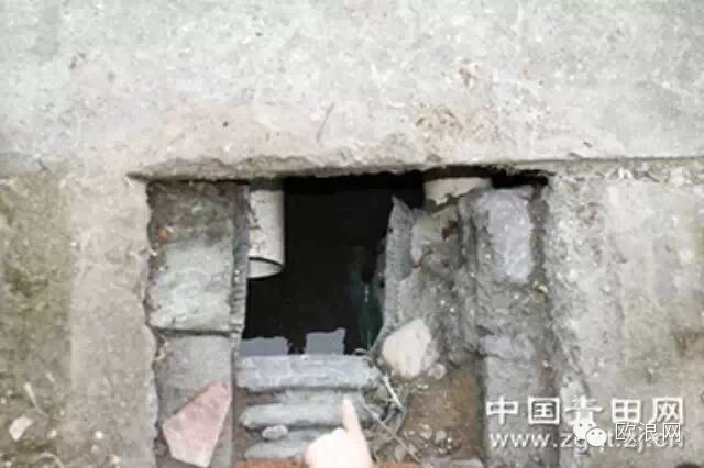 青田温溪污染严重：污水直排至家门口