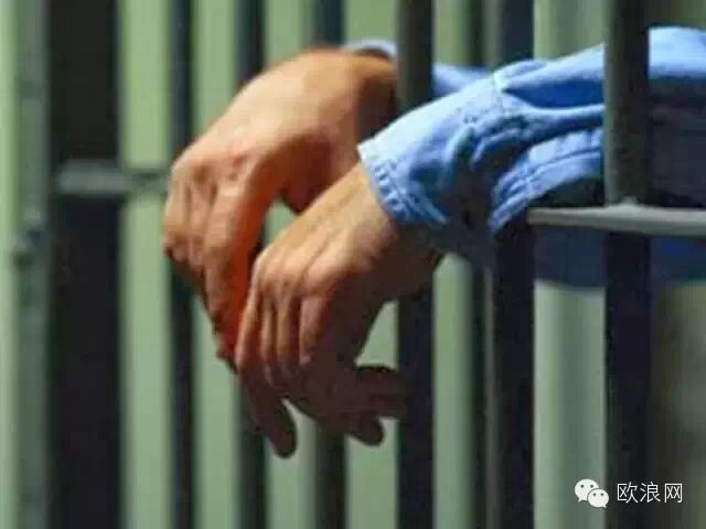 行贿未果反被判刑：1000欧元换来18个月监禁