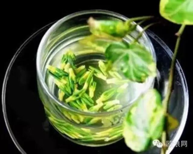 每个器官的下火法，太珍贵了，收藏吧！