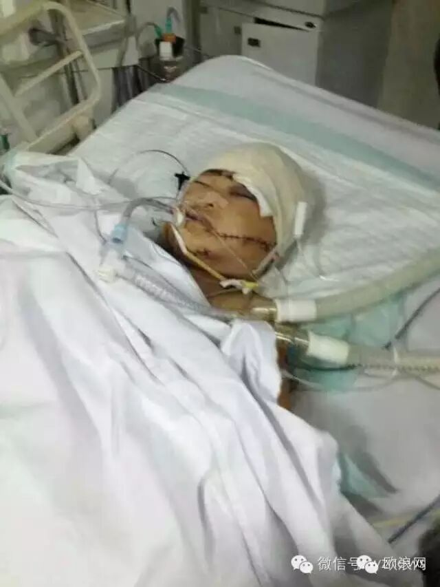 温州小女孩被砍事件全揭秘