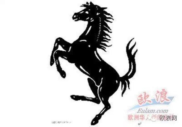 马德里一马场为招揽客人违规操作，致中国游客受伤