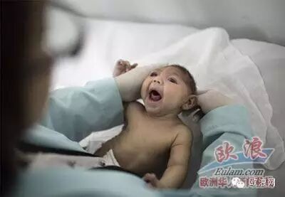 寨卡病毒全球预警，西班牙格拉纳达已确诊两例
