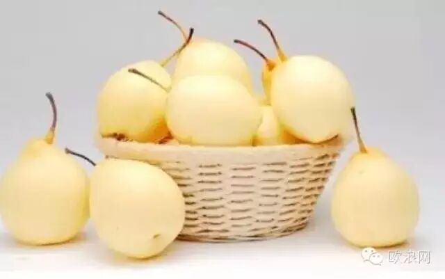 【健康】秋燥上火？多吃这5种“白色”食物吧