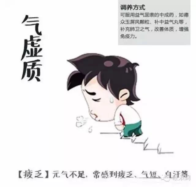 别瞎补了！给你一张最全的体质食疗单！
