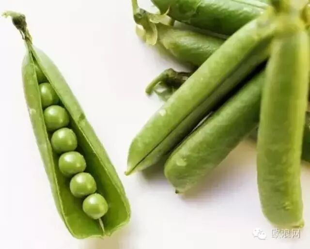 【健康】这10种食物有毒，你可能每天都在吃